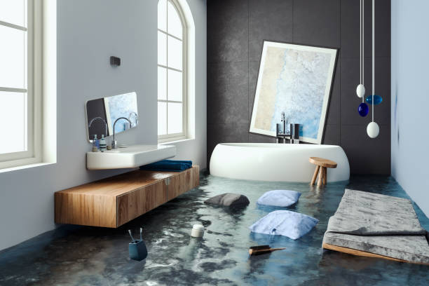 Best Local water damage restoration  in Canton, NC