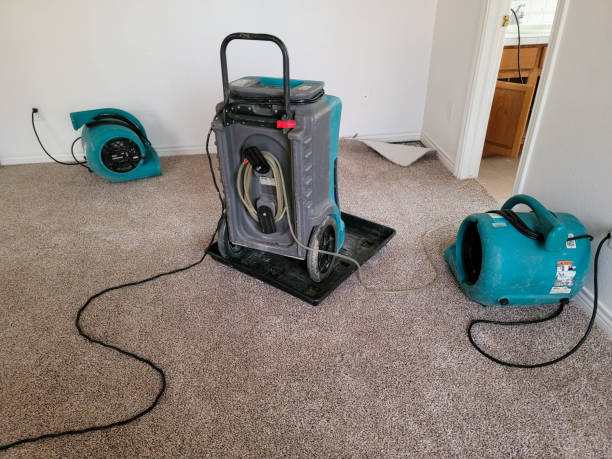 Best Sewage cleanup and water damage restoration  in Canton, NC