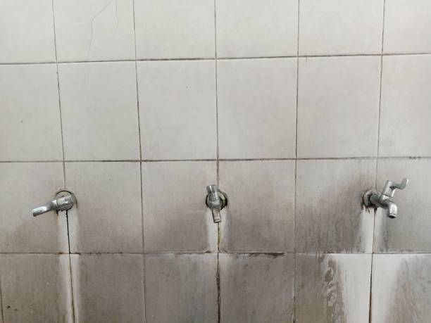 Best Basement water damage restoration  in Canton, NC