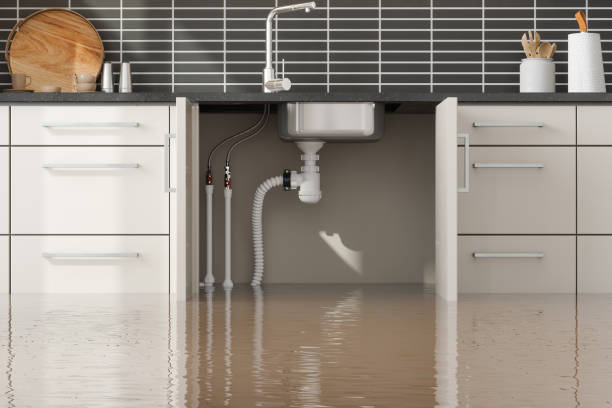 Best Water damage restoration near me  in Canton, NC
