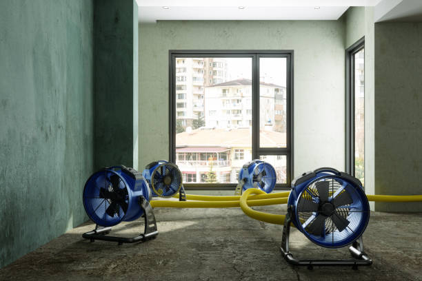 Best Sewage cleanup and water damage restoration  in Canton, NC